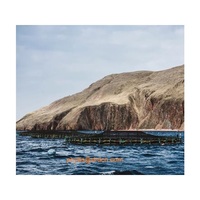 Ensembles de cages d'élevage de poissons en mer