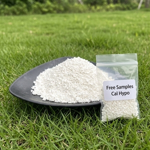 Gránulos <span class=keywords><strong>de</strong></span> <span class=keywords><strong>Cloro</strong></span> para <span class=keywords><strong>Piscina</strong></span> SS0429 DDP, 50 Libras, 70% <span class=keywords><strong>de</strong></span> Pureza - Product Image 1