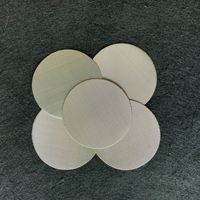 Filter Disc Kawat Baja Tahan Karat 25um 50mm untuk Industri, Disc Filter Baja Tahan Karat