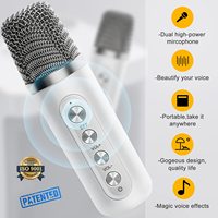 Machine de karaoké avec 2 micros sans fil, portable tout-en-un pour haut-parleur, pour adultes et enfants, son HD, batterie 3000 mAh