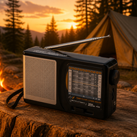 Radio portable AM FM SW TV 12 bandes, en ABS, moulage privé, fabrication directe d'usine, certifiée CE, fournisseur en gros
