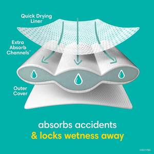 Culottes d'apprentissage jetables 100 % sans parabènes pour tout-petits (4T-5T) – Vente en gros, unisexe, dès 24 mois - Product Image 5