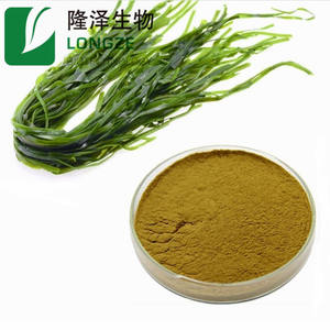 Натуральный экстракт водорослей из ламинарии, порошок фукоидана - Product Image 3