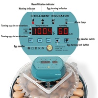 Mini incubateur d'œufs entièrement automatique pour 30 œufs, contrôle de la température, retournement automatique, machine à couver pour poulets, canards, cailles et volailles