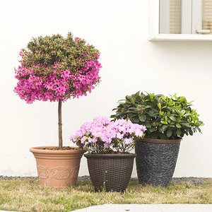 <span class=keywords><strong>Gargon</strong></span> Flower - Pot de fleurs carré en résine plastique pour extérieur, style bonsaï, avec pierres décoratives artificielles, pour jardin et maison, design minimaliste 15/18 - Product Image 3