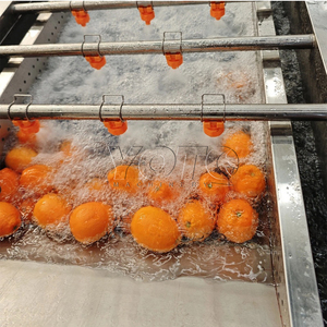 Máquina clasificadora automática de frutas de tamaño pequeño, máquina clasificadora de piñas y verduras - Product Image 3