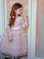 Robe de princesse féerique rose à manches longues pour filles, robe de fête d'anniversaire, robe longue, robe en velours moelleux pour enfants