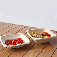 Bol à salade carré en bagasse de canne à sucre 16/24/32/42oz avec couvercle transparent en PET, compostable, biodégradable, de qualité alimentaire, pour plats à emporter