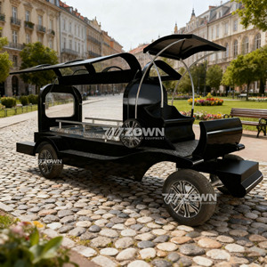 Véhicule de transport de cercueil électrique futuriste et rétro, silencieux et à fonctionnement fluide, pour les maisons funéraires haut de gamme, approvisionnement mondial - Product Image 5