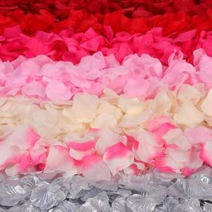 جفاف الديكور زهرة بتلة المطر سرير الزفاف اقتراح تخطيط غرفة الزفاف محاكاة - Product Image 4