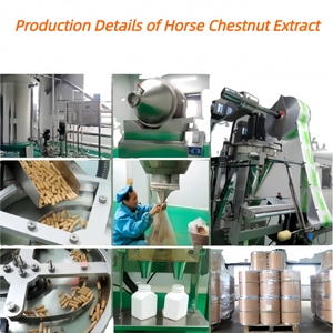 Estratto di Ippocastano Direttamente dalla Fabbrica, Polvere di Estratto di Ippocastano con 98% di Esculin in Bulk - Product Image 6