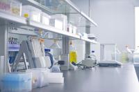 Kit ELISA pour l'immunoglobuline M (IgM) des poissons