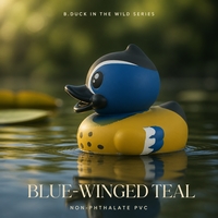 B.DUCK Série Sauvage Canard Colvert à Ailes Bleues Figurine PVC Canard Flottant OEM Boîte Mystère Personnalisée Canard en Caoutchouc