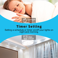 Touchmi Wholesale Prijs Smart Home Gehard Glas Led Light Schakelaar Smart Home Elektrische Stopcontact