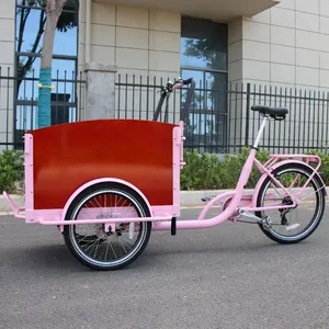 时尚儿童三轮车带宠物徒步自行车电动货运自行车家庭二手货运儿童自行车
