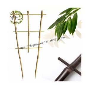 <span class=keywords><strong>NIF</strong></span> Nueva llegada último diseño escalera orquídea enrejado bambú enrejado interior - Product Image 1