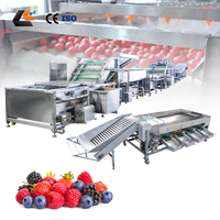Commerciële olijfstengelverwijderaar, fruit sorteerder, cherry tomaten grader, spray bubbelwasser, automatische fruitwaslijn