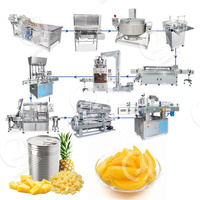 Oceaan Ingeblikt Fruit Peren Productie Ananas Proces Lijn Conserven Perziken Machine
