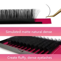 Faux cils en gros, fournisseur de fans de cils individuels, curler, fan de cils, marque privée, boîte 3D, bande de cils en vison, emballage, extension de cils