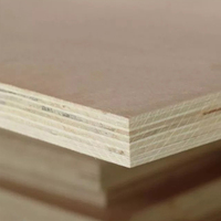 Contreplaqué Bintangor Commercial Moderne de Première Qualité, Noyau en Peuplier, Colle E1, 3mm 6mm 12mm 18mm 1220 X 2440, Good-Time
