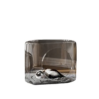 Cave à chat en plastique transparent, grand espace, anti-adhérent aux poils, facile à nettoyer, cachette pour animaux de compagnie, maison pour chat avec tapis