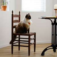 Chaise de salle à manger de style campagnard américain antique avec dossier en corde tressée, structure en bois massif, ensemble table et chaises pour la maison et le café
