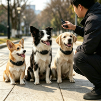 Collar de Adiestramiento para Perros Recargable e Impermeable con Control Remoto, Collar Antiladridos con Descarga Eléctrica para el Adiestramiento de Mascotas