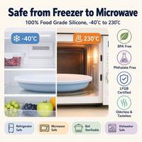 Assiette à ventouse en silicone personnalisée OEM en gros pour bébé, 3 compartiments, sans BPA, qualité alimentaire, antidérapante, pour tout-petits
