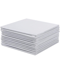 8X10'' vente en gros usine vierge 280gsm 100% coton pas cher artiste conseil pour artiste peinture toile décor