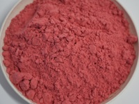 Groothandel Bulk Natuurlijke Gedroogde Aardbeienplakjes Zoetzuur Gedroogd Fruit Snack voor OEM Service