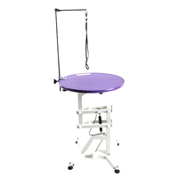PURFY Offre Spéciale petit ascenseur électrique Led Table de beauté ronde Table de toilettage pour chat pour animalerie éclairage Table de toilettage
