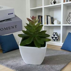 Plante succulente artificielle en pot carré, mini plante en pot, verdure pour la décoration de la maison, du bureau ou du bureau à domicile, ornement de plante d'intérieur en plastique - Product Image 4