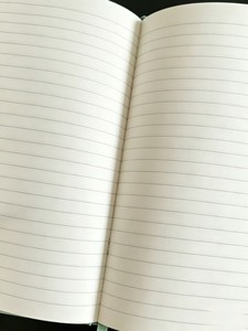 Cuaderno de Tapa Dura con Estampado Floral a Todo Color, Diseño de Margaritas Silvestres en Verde Salvia, para Niñas y Estudiantes, Regalo para las Vacaciones de Primavera - Product Image 3