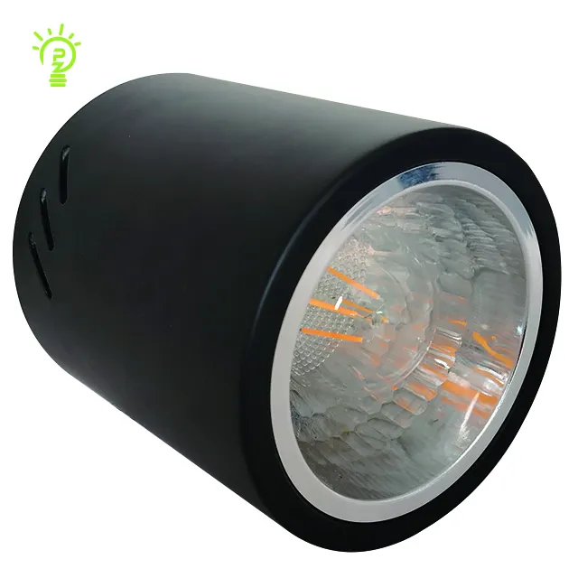 Hot Sale High Quality for Thailand Southeast Asia 3/3.5/4 Inch Down Light surface