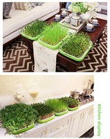 X82 plateau de semis Microgreen planteur plastique pépinière germe avec Pp de haute qualité pour la maison jardin plateau de semis de légumes