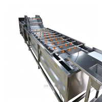 Industriële voedselveilige automatische reinigingsmachine voor groenten en fruit