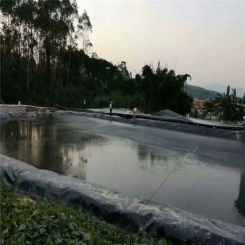 0.3mm 0.5mm HDPE Pond Liners 0.75mm 1.0mm tôm trang trại Pond Liner HDPE bể cá geomembrane cho nuôi trồng thủy sản ở Peru