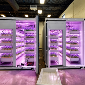 Contenedor Agrícola Aislado, Estructuras de Cultivo Modulares Ensambladas, Sistema de Drenaje y Estructura de Bloqueo de Luz para la Cultivo de Azafrán - Product Image 4