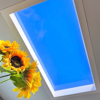 Maison intelligente Contrôle Wifi Led artificielle Lumière du jour naturelle Lumière du ciel bleu Panneau de plafond à LED Puits de lumière artificielle
