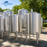 Cuve de mélange de bière en acier inoxydable Tonsen 1000L-5000L, cuve de mélange 10HL-50HL avec agitateur pour brasserie