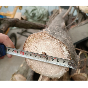 Déchiqueteuse d'herbe/maranta Arundinacea/<span class=keywords><strong>casava</strong></span>/casawa électrique et diesel - Product Image 6