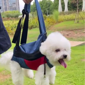 BANABA CE sertifikalı taşınabilir evcil hayvan sırt çantası küçük orta köpekler kediler açık seyahat taşıyıcısı - Product Image 3