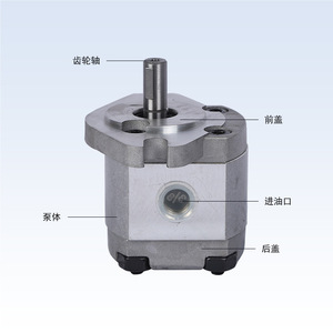 Bomba de Paletas Hidráulica de Alta Presión HGP HGP-1A-F1R/F2R/F3R/F4R/F5R/F6R/F7R/F8R - Product Image 3