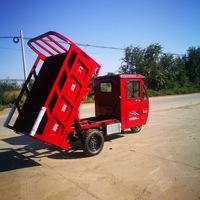Tricycle commercial de fret de 300 cm³ à moteur essence, tricycle à moteur essence, docker rized, tricycle commercial rized