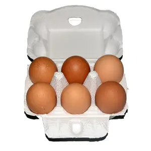 Wholesale Egg Carton Paper Egg Carton 6Hole Pulp Packaging Paper Trays For Egg