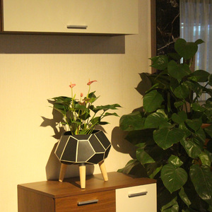 <span class=keywords><strong>Pot</strong></span> de fleurs en céramique avec pieds en bois KD, design diamant contemporain, écologique, noir et blanc, sculpté à la main - Product Image 1