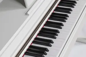 Sampel Gratis Piano Keyboard Digital Profesional Piano Organ Elektronik Berkualitas Tinggi
