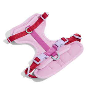 制造商无拉力带个性化定制徽标豪华设计师品牌环保时尚尼龙涤纶狗背心牵引带项圈背带 - Product Image 3