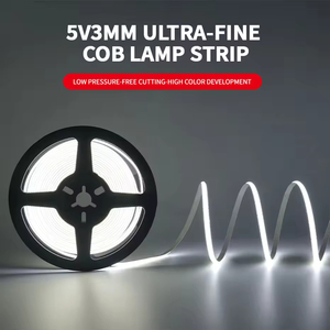 Tira de diodos emisores de luz COB, 400 diodos emisores de luz, CE RoHS, 12V 24V, blanco cálido, tira de diodos emisores de luz COB flexible - Product Image 2