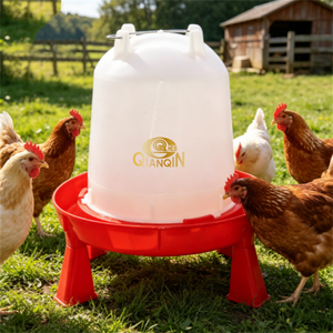 Abreuvoir stable à quatre pieds anti-déversement à gravité pour poulets <span class=keywords><strong>de</strong></span> chair, poules pondeuses et canards, destiné aux fermes et au marché africain - Product Image 3